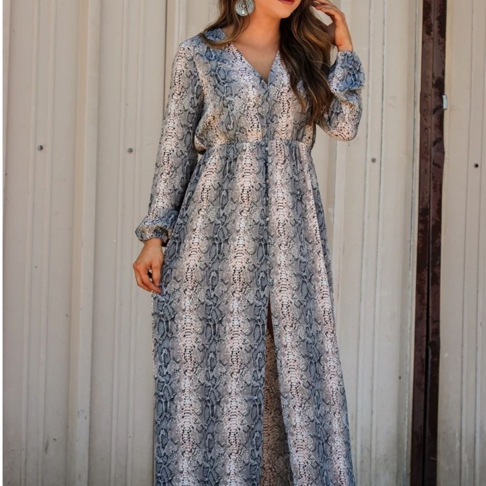 5 For $25 Buddy Love Snake Print Maxi Dress